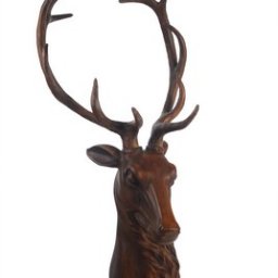 BROWN DEER HEAD