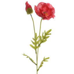 BRANCH FLOWER RED