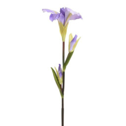 FLOWER/BRUNCH PURPLE 90CM